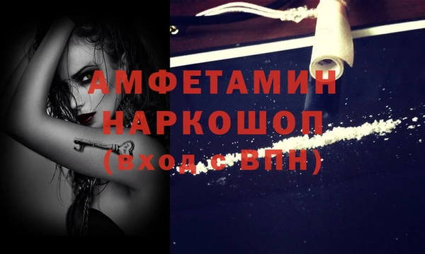 a pvp Новозыбков