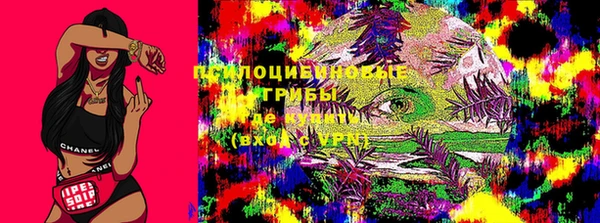 a pvp Новозыбков