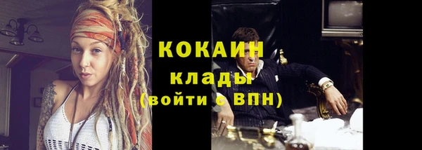 прущие грибы Нефтегорск