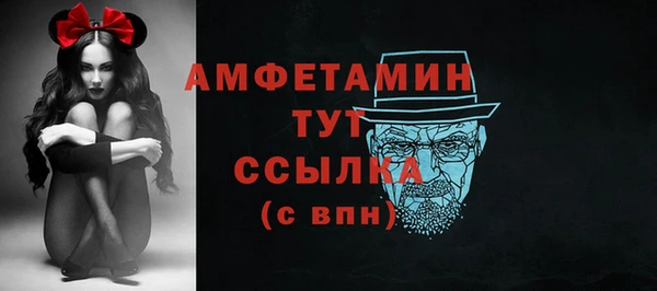 гашик Пересвет