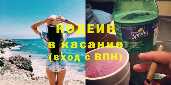 гашик Пересвет